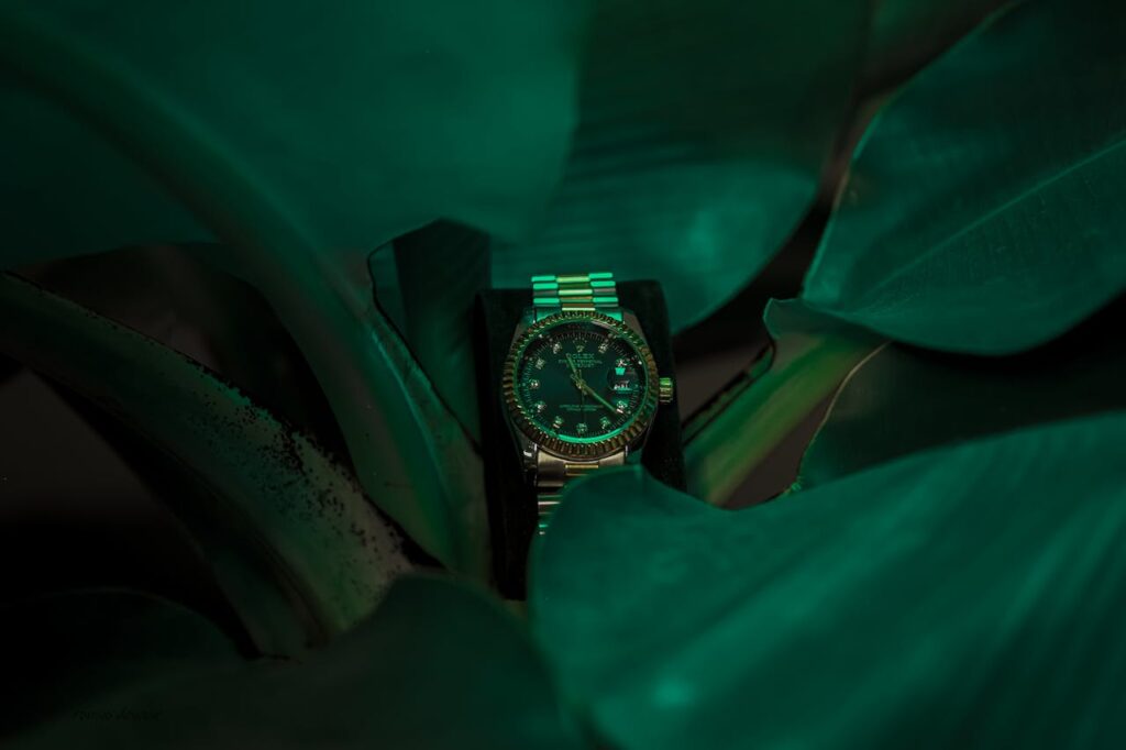 A Rolex Surrounded by Leaves